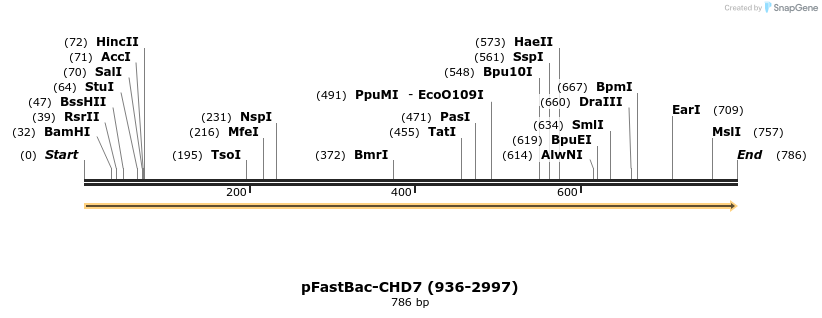 329784_map