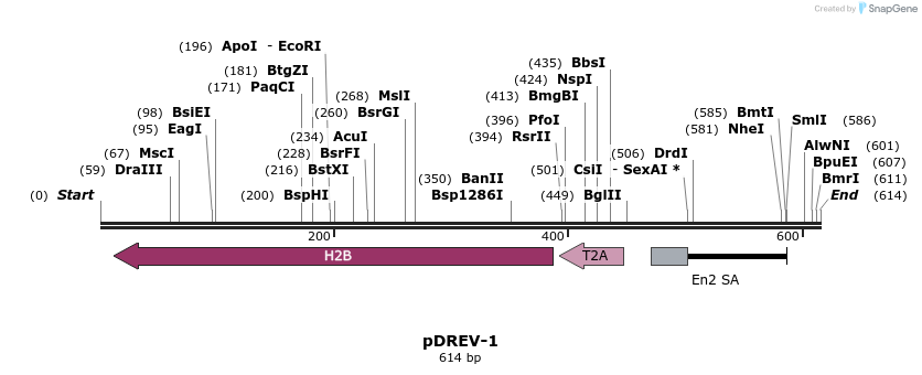 32979_map