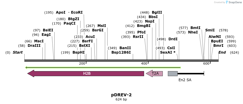 32980_map