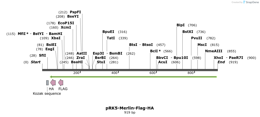 32982_map