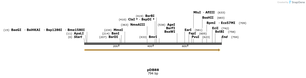 32988_map