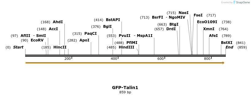 32994_map