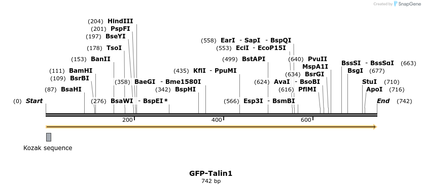32995_map