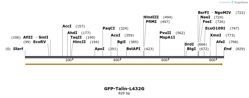 32996_map