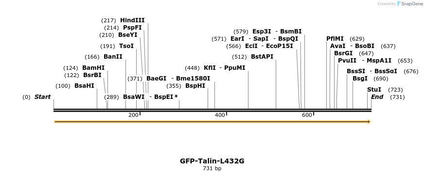 32997_map