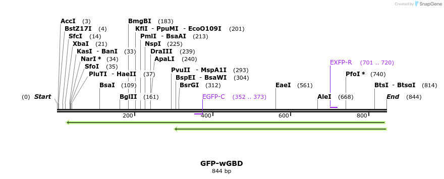 33000_map