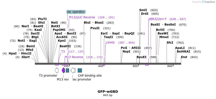 33001_map