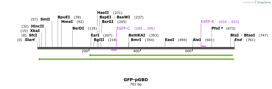 33002_map