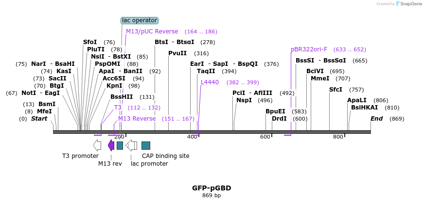 33003_map
