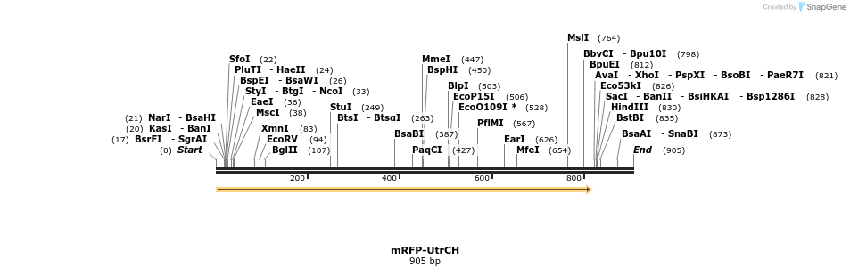 33006_map