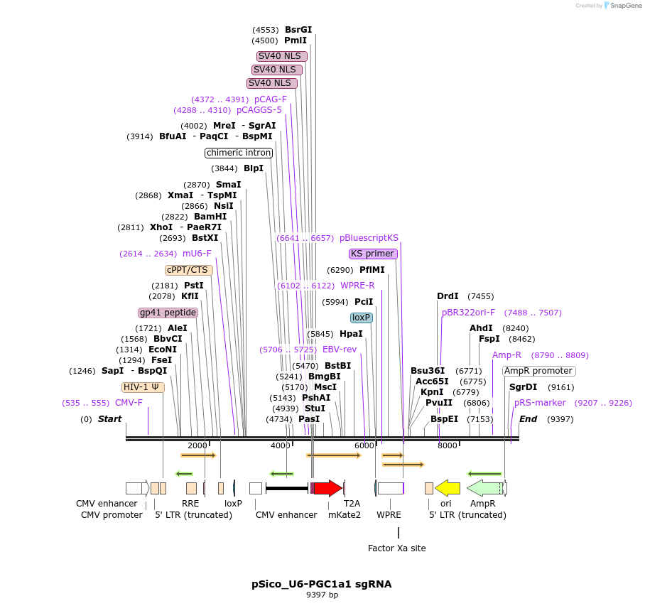 330070_map