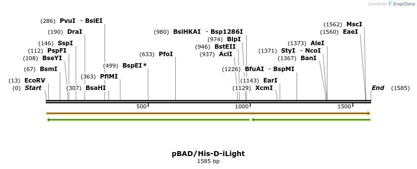 330074_map