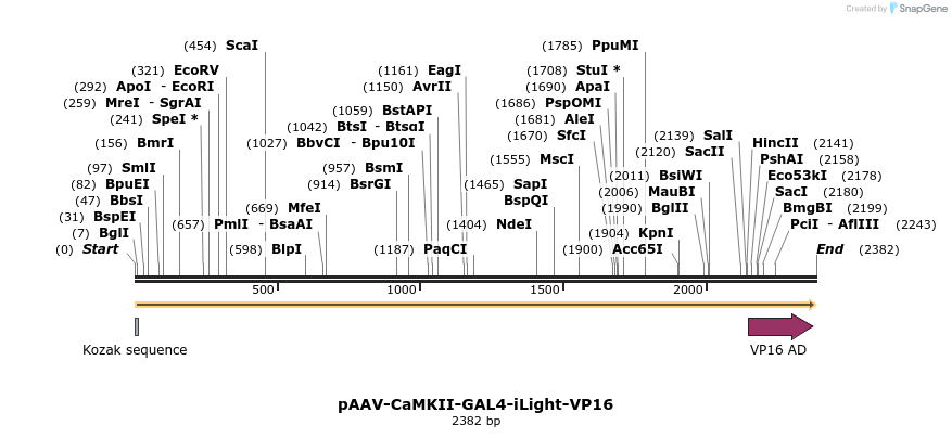 330078_map