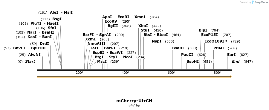 33008_map