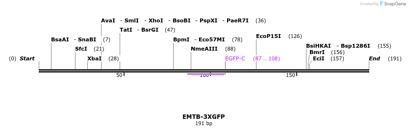 33009_map
