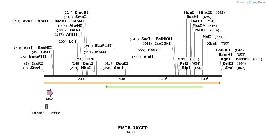 33010_map