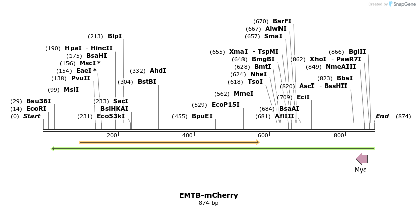 33011_map