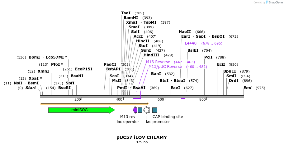 33015_map