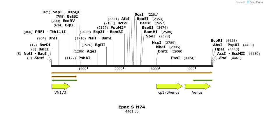 330153_map