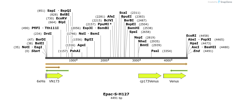 330163_map