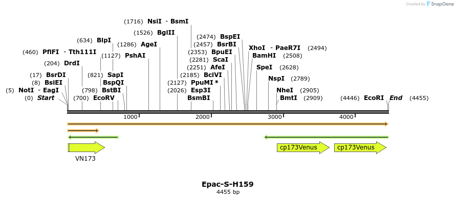 330171_map
