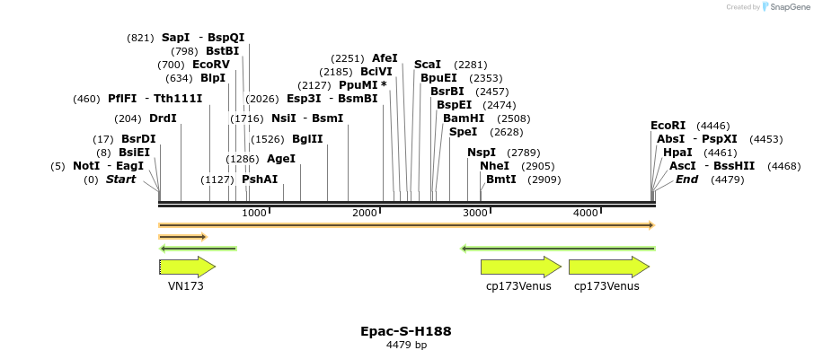 330175_map