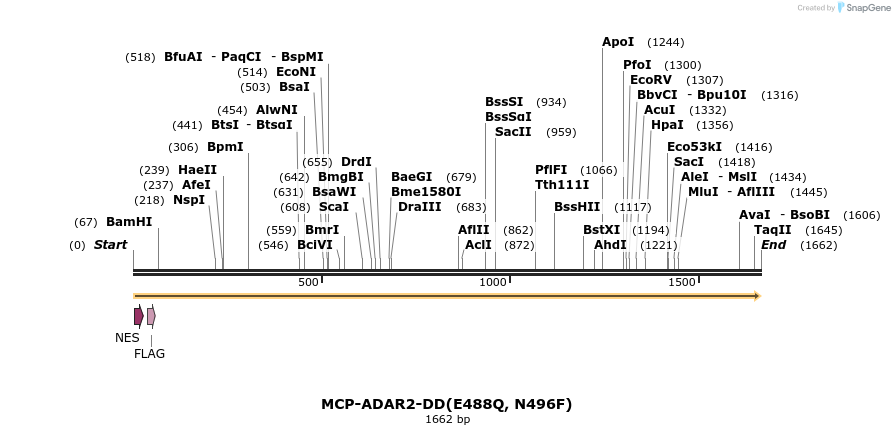 330193_map