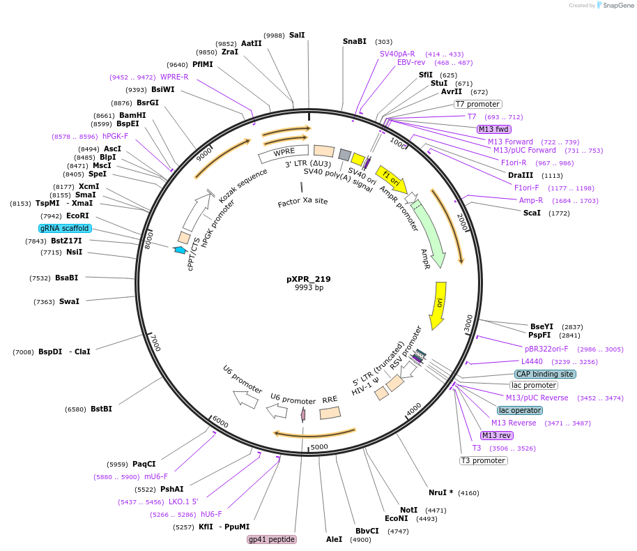 330205_map