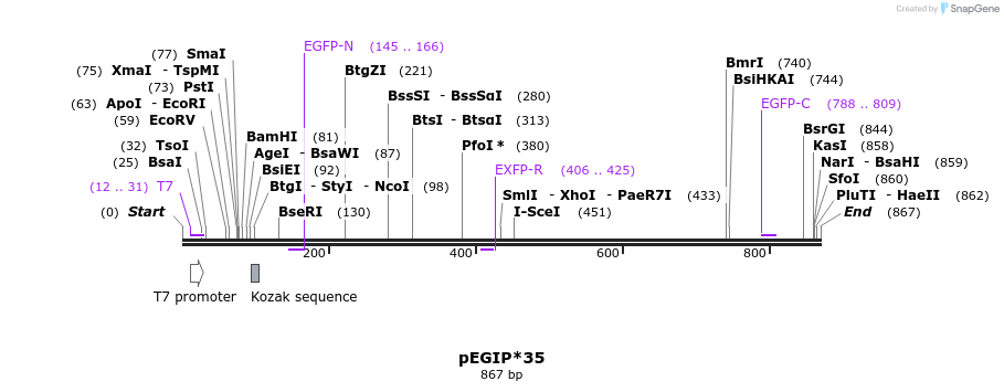 33021_map