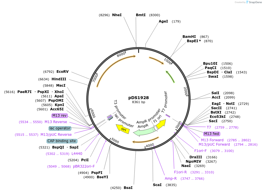 330218_map