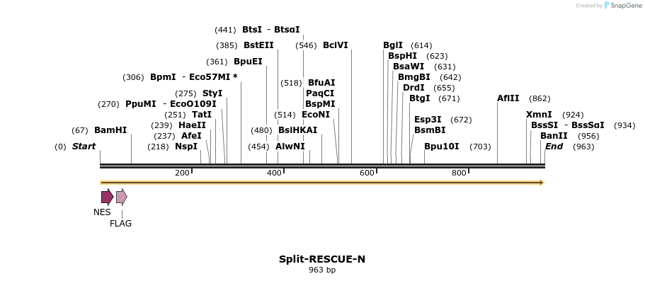 330219_map
