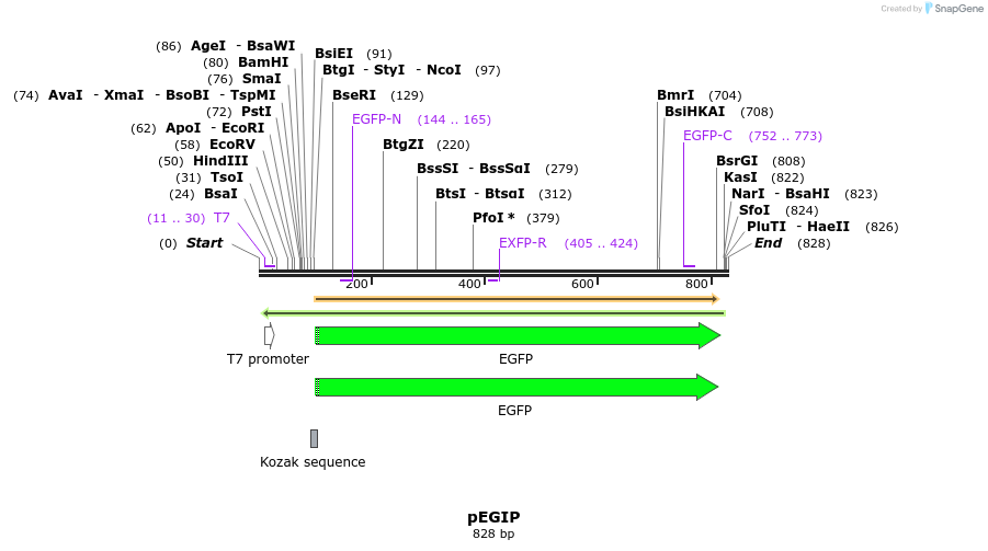 33022_map