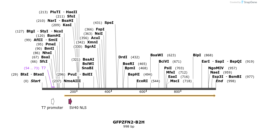 33024_map