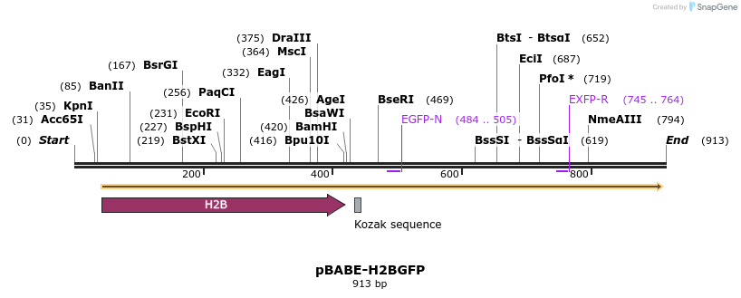 33026_map