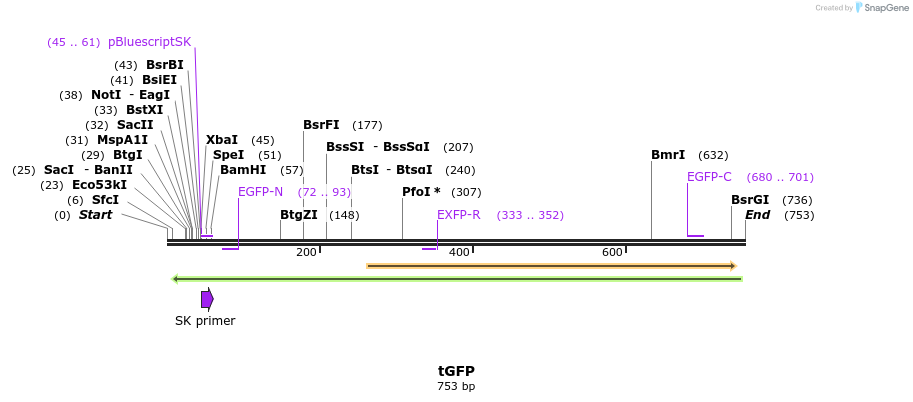 33028_map