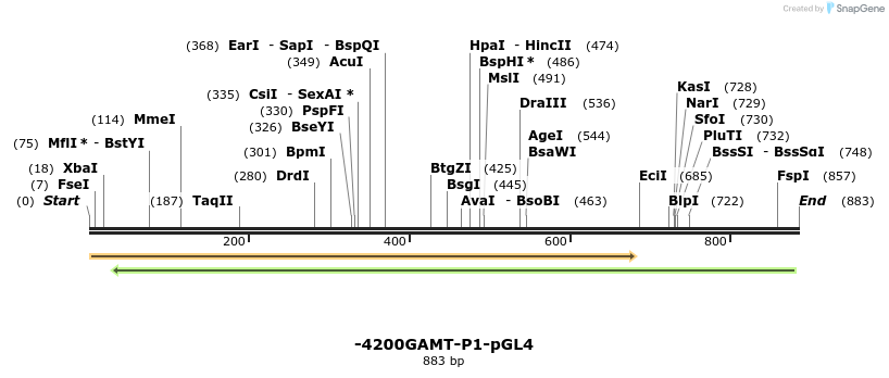 33031_map