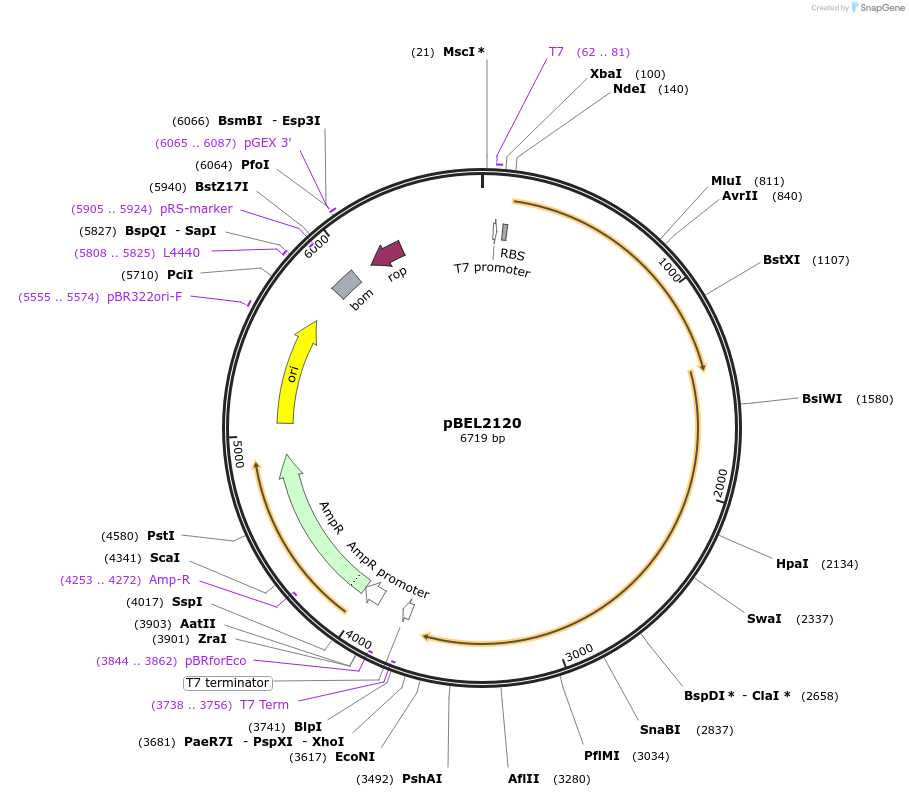 330390_map