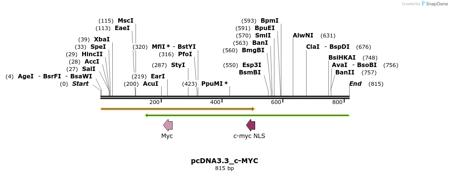 33041_map