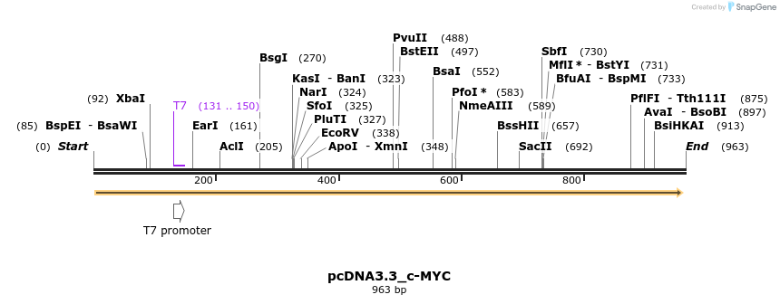 33042_map