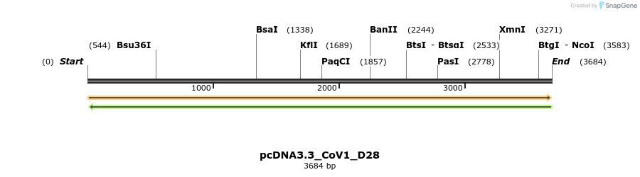 330453_map