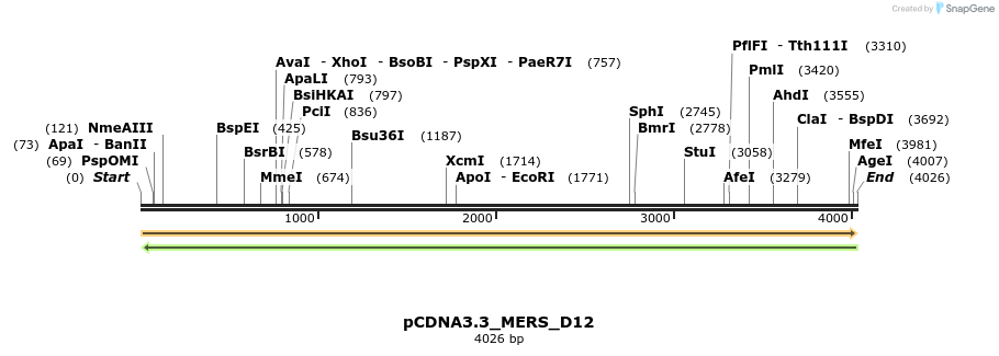 330454_map