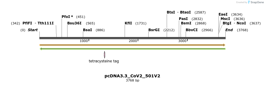330457_map