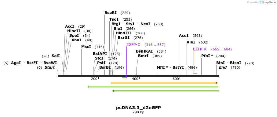 33047_map