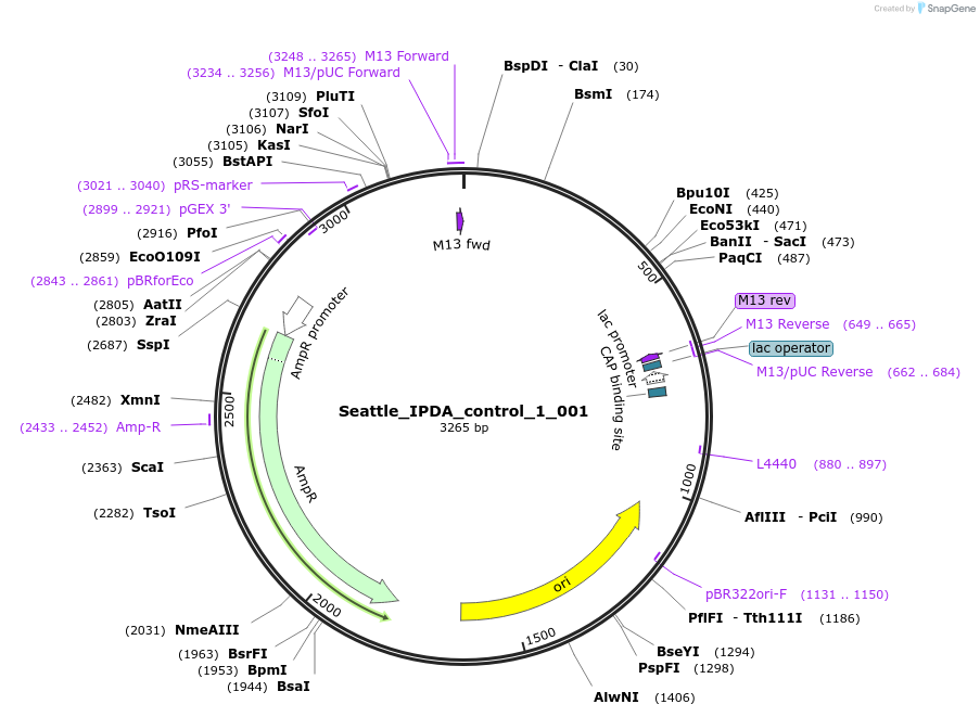 167347-plasmid-map-sequence-id-330501
