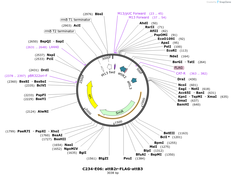 330514_map