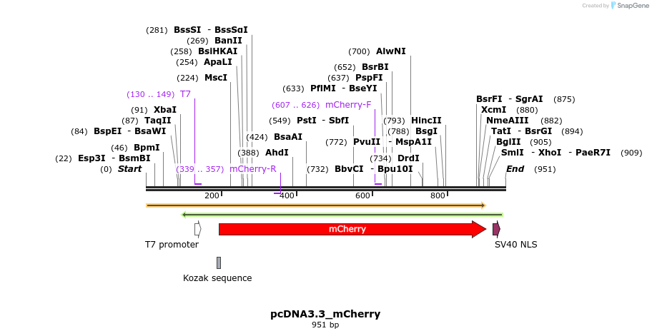 33052_map