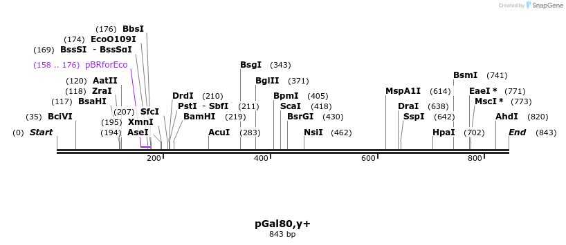 33053_map