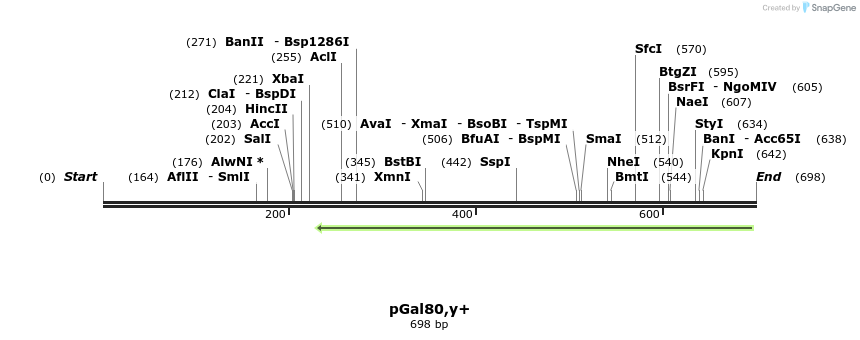 33054_map