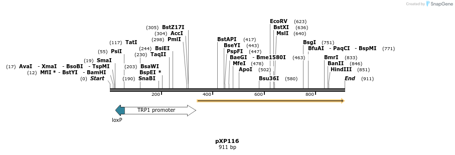 33057_map