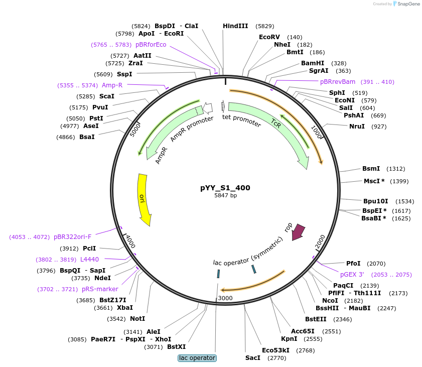 330571_map